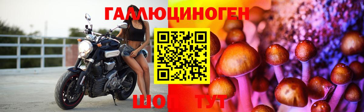 Галлюциногенные грибы MAGIC MUSHROOMS  Галлюциногенные грибы MAGIC MUSHROOMS  Вход с VPN  Тольятти 